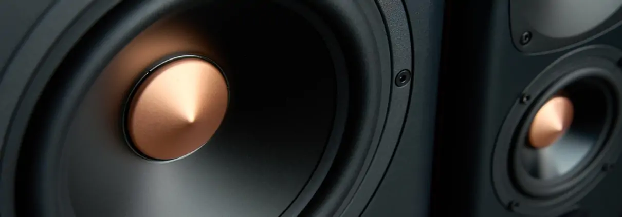 Close-up of high-fidelity audio speaker drivers for eWEAT HiFi music player, showcasing premium sound quality - eweat.com
